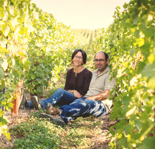 viticulture biologique champagne valérie et gael dupont